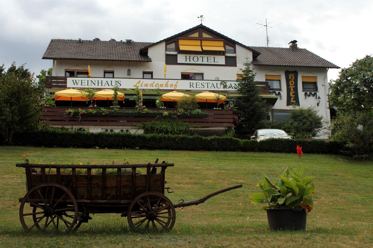 Hotel-Restaurant Lindenhof Kreuzwertheim Kültér fotó